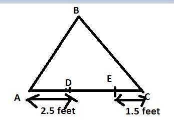 A turtle begins to cross a path. After 3 minutes, the turtle is 2.5 feet from the-example-1