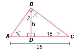 HELP ASAP How do I find the answer to this-example-1