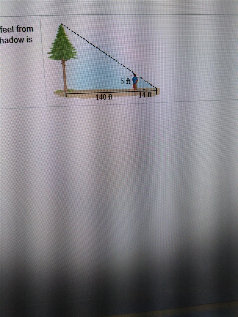 use similar triangles to solve. a person who is 5 feet tall is standing 140 ft from-example-1