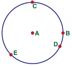 PLEASE HELP 20 POINTS! Use the circle below to answer the following question. If the-example-1