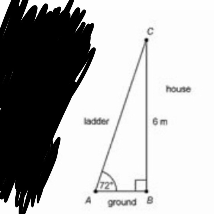 Anna has leaned a ladder against the side of her house, if the ladder forms a 72° angle-example-1