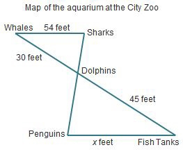 In the map below, the path from the whales to the sharks is parallel to the path from-example-1