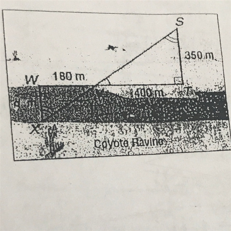 The two triangles shown in the figure are similar. Find the distance, d, across Coyote-example-1