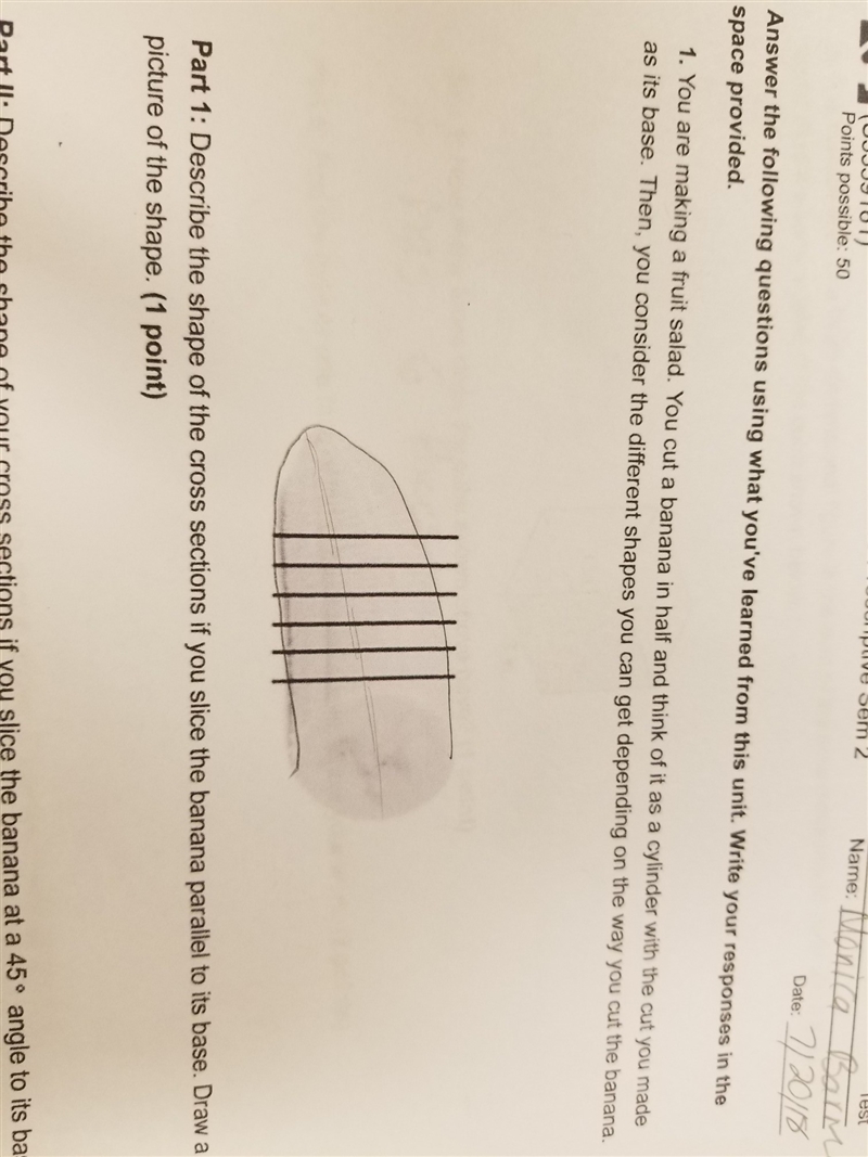 Describe the shape of the cross section if you slice banana parallel to its base-example-1