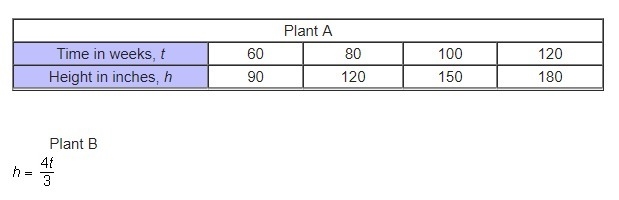 A botanist uses the representations below to show the heights in inches, h, of different-example-1