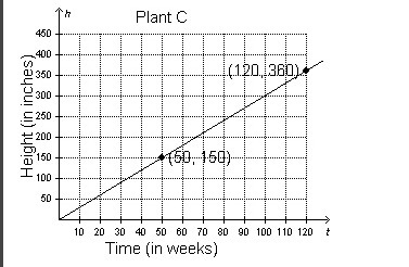 A botanist uses the representations below to show the heights in inches, h, of different-example-2