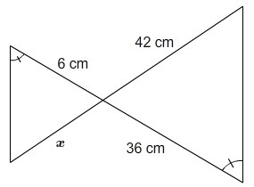 What is the value of x?-example-1