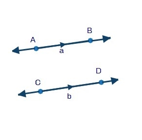 Which is the correct label of the parallel lines?-example-1