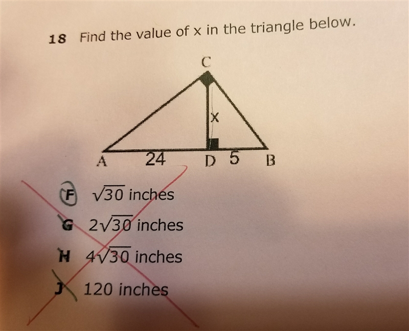 Find the value of x in the triangle below ?-example-1