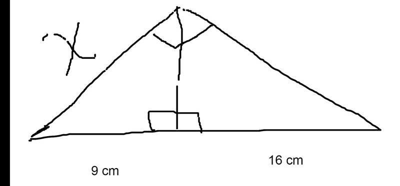 PLZZZZZZZZZZZZZ HELPPPPPPPPPPPPPPP! Using similarity solve for x. Show all work.-example-1