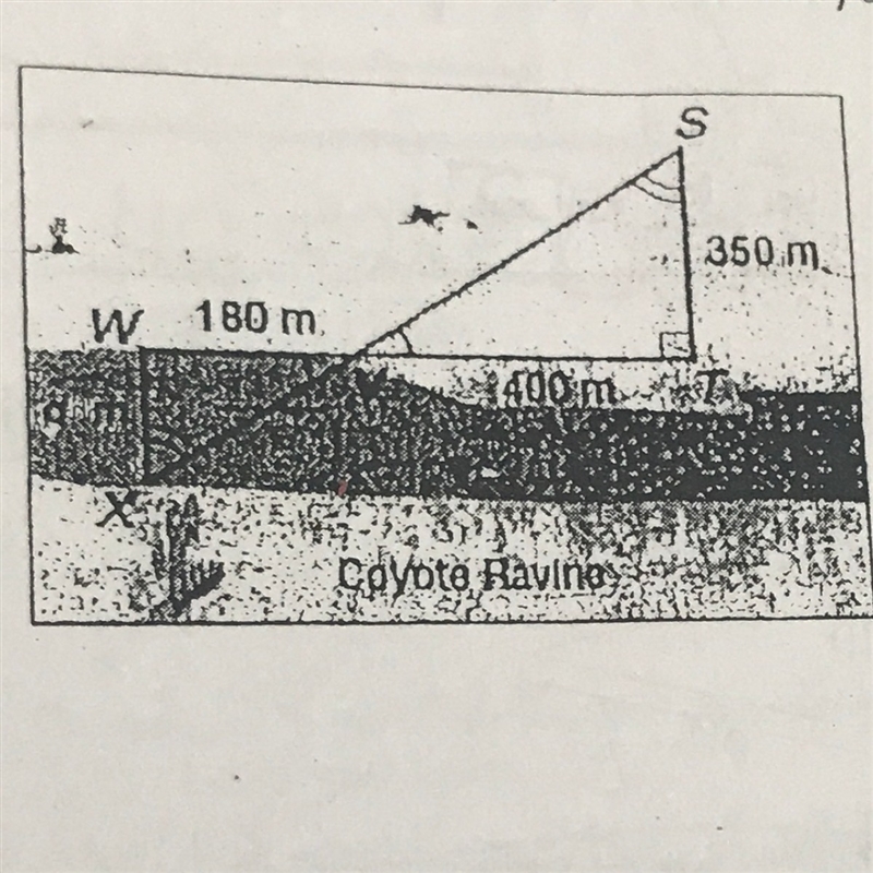 The two triangles shown in the figure are similar. Find the distance, d, across Coyote-example-1