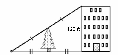 Use the information in the diagram to determine the height of the tree to the nearest-example-1