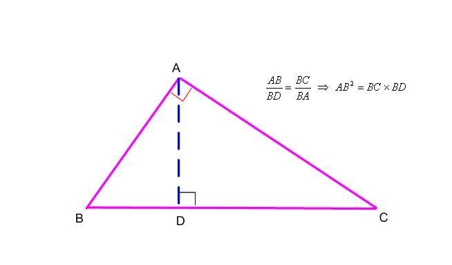 Find the value of x. Round the answer to the nearest tenth, if needed. A. 4.8 B. 5.1 C-example-1