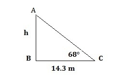 The angle of elevation of the sun is 68° when a tree casts a shadow 14.3 m long. How-example-1