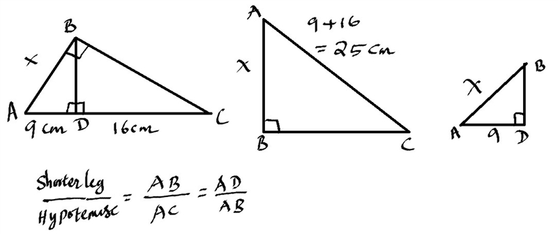 (99 POINTS) Using similarity solve for x. Show all work-example-1