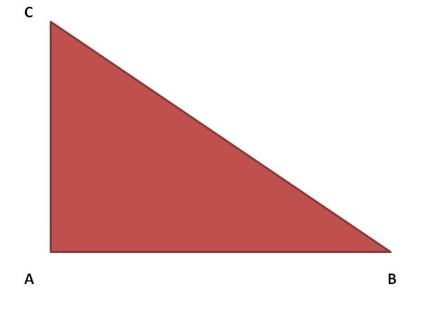 ∠A is a right angle in △ABC. Which side is opposite of ∠B? Question 1 options: AB-example-1