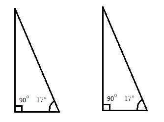 Explain why two right triangles, each with an acute angle of 17°, must be similar-example-1