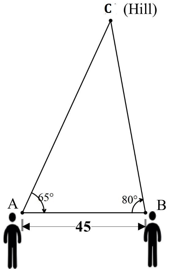 Two people are standing on opposite sides of a hill. Person A makes an angle of elevation-example-1