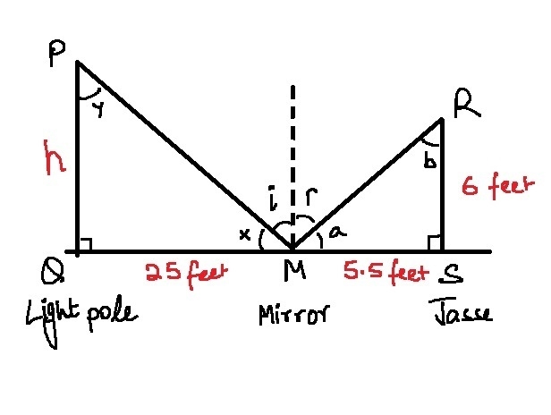 Jesse places a mirror on the ground 25 ft from the base of a light pole. He walks-example-1