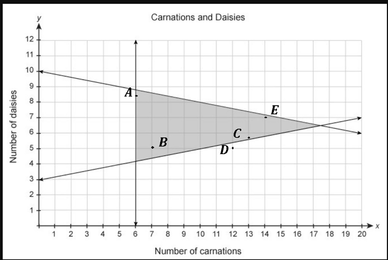 The triangular region shows the number of possible carnations, x, and the number of-example-1