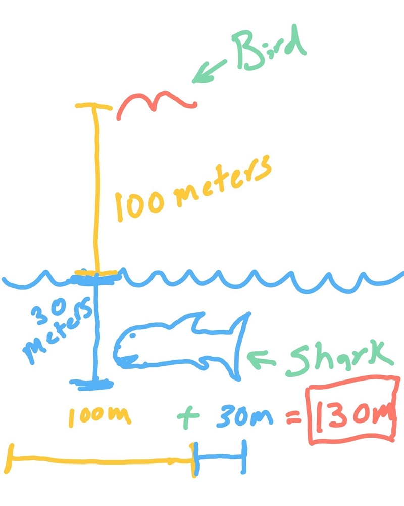 What is the difference in height between a bird flying at 100m above surface of the-example-1