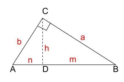 usa el teorema de la altura para proponer como se podria construir un segmento cuya-example-1