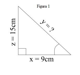 If x = 9 cm and z = 15 cm, what is the length of y?-example-1