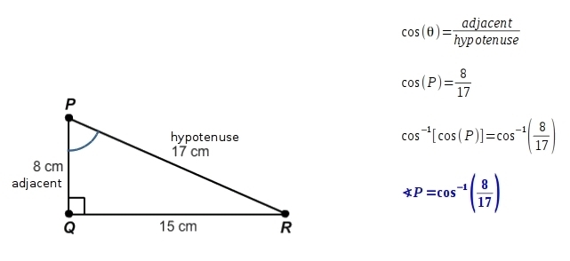 What is measure of angle P? Enter your answer as a decimal in the box. Round only-example-1