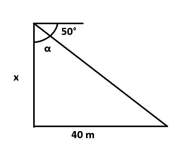 From the top of a tree, a bird looks down on a field mouse at an angle of depression-example-1