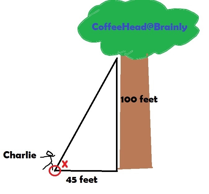 Charlie is standing 45 feet from the base of 100 foot tall tree. What is the angle-example-1