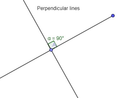 9. What are two straight lines that cross each other at a right angle? A. Curved B-example-2