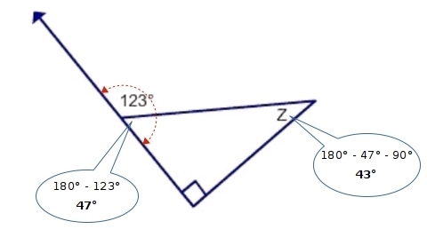 Find the measure of angle Z.-example-1