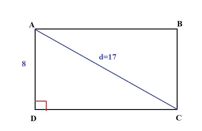 A dog has dug holes in diagonally-opposite corners of a rectangular yard. One length-example-1