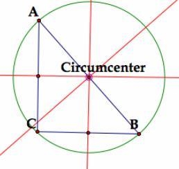 True or false? The circumcenter of a triangle is the center of the only circle that-example-1