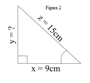 If x = 9 cm and z = 15 cm, what is the length of y?-example-2