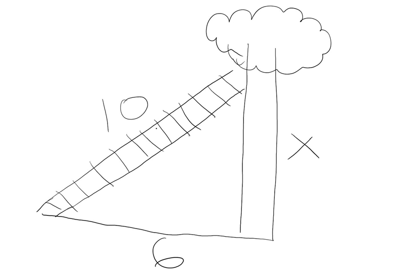 A 10 foot ladder is leaning against a tree the bottom of the ladder is 6 ft away from-example-1