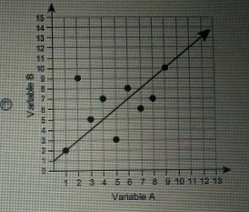 Which line is a linear model for the data?-example-1