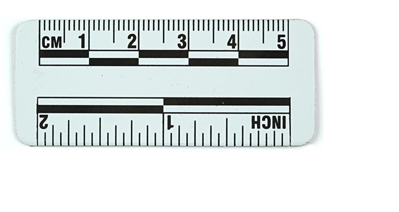 Shirley measures the thickness of the sides of a cardboard box using a ruler that-example-1