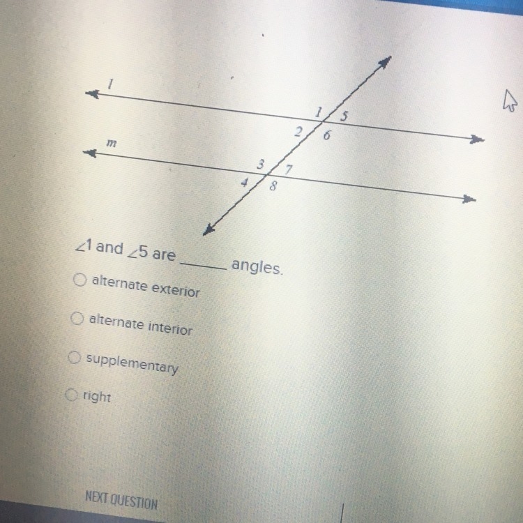 I need help on all of these someone help-example-1