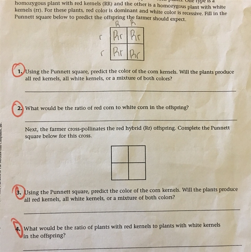 Can someone please help me finish this I’m total confused-example-1