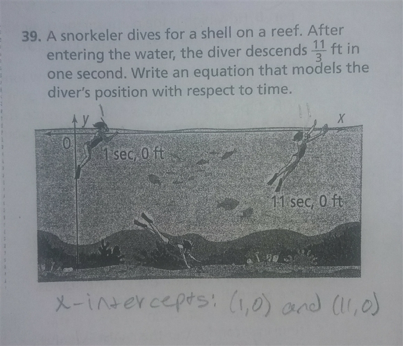 A snorkeler dives for a shell on a reef. After entering the water, the diver descends-example-1