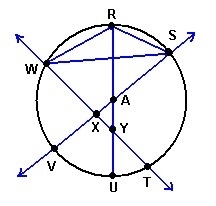 Which of the following is not a diameter? SV RU WT-example-1