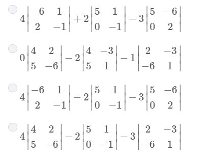 Which expression gives the determinant of the matrix? Note : Image attached and answer-example-2