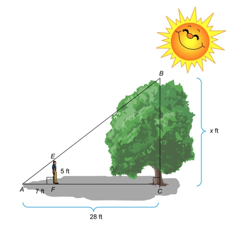 PLEASSEEEE HELP W THIS QUESTION!!!! The diagram shows 5 ft student standing near a-example-1