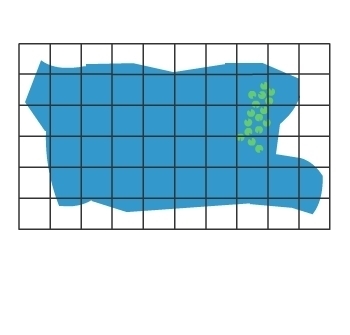 Each square on the grid represents 1 ft2. What is the approximate area of this backyard-example-1