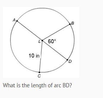 What is the length of arc BD? A. 5.23 in. B. 20.6 in. C. 120 in D. 10.47-example-1