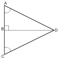 Name the postulate or theorem you can use to prove ∆ABD ≅ ∆CBD. A. SAS Postulate B-example-1