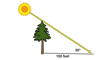 A tree casts a shadow that is 150 feet long. If the angle of elevation from the tip-example-1