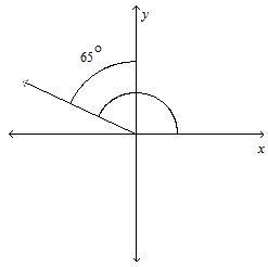 What is the measure of the angle? Question 3 options: A. 315° B. 90° C. 205° D. 155°-example-1