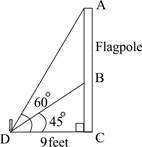 What is the distance between the points A and B on the flagpole? Please explain how-example-1